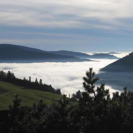 Schoene Aussicht Todtnau Exteriör bild
