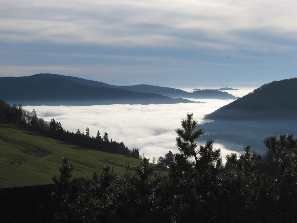 Schoene Aussicht Todtnau Exteriör bild