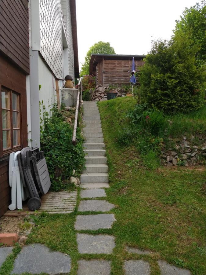 Schoene Aussicht Todtnau Exteriör bild