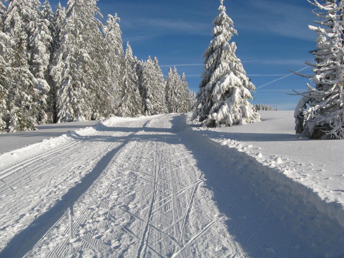 Schoene Aussicht Todtnau Exteriör bild
