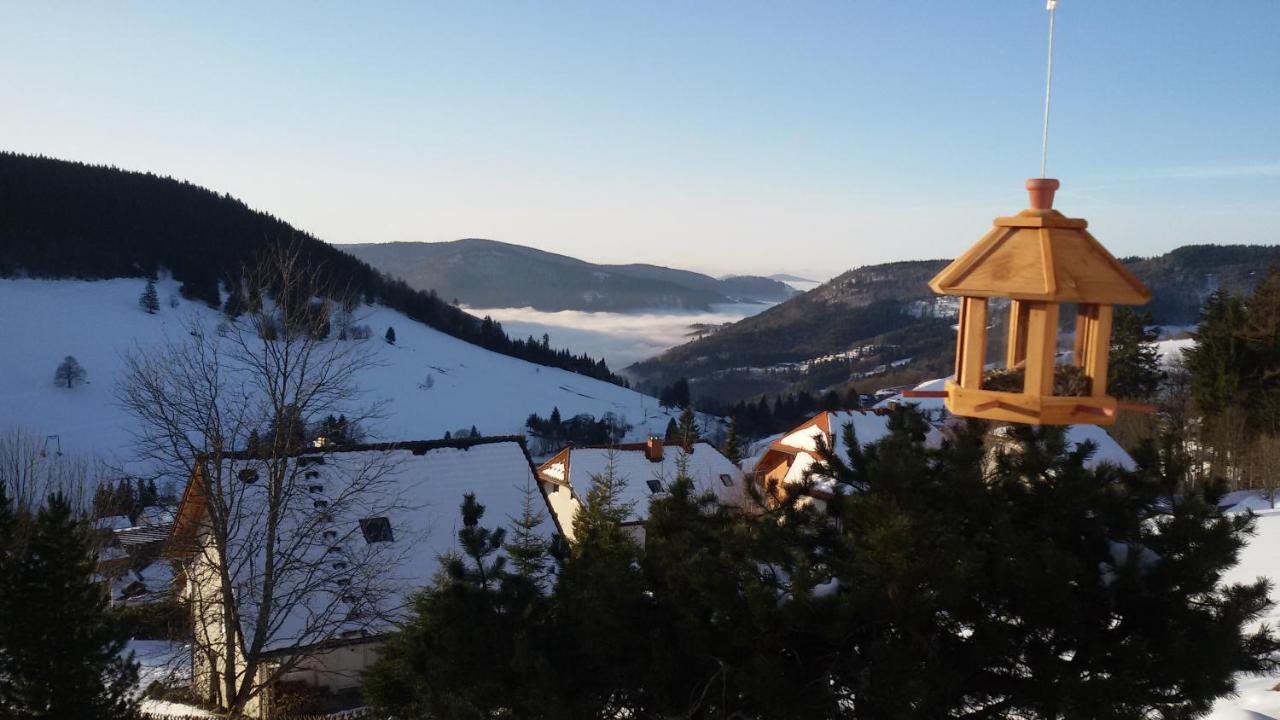 Schoene Aussicht Todtnau Exteriör bild