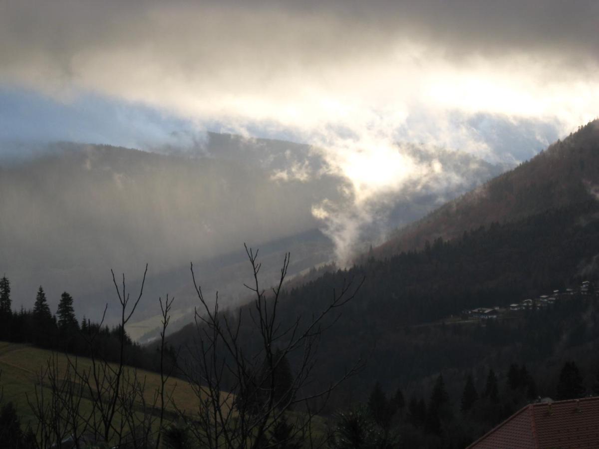 Schoene Aussicht Todtnau Exteriör bild