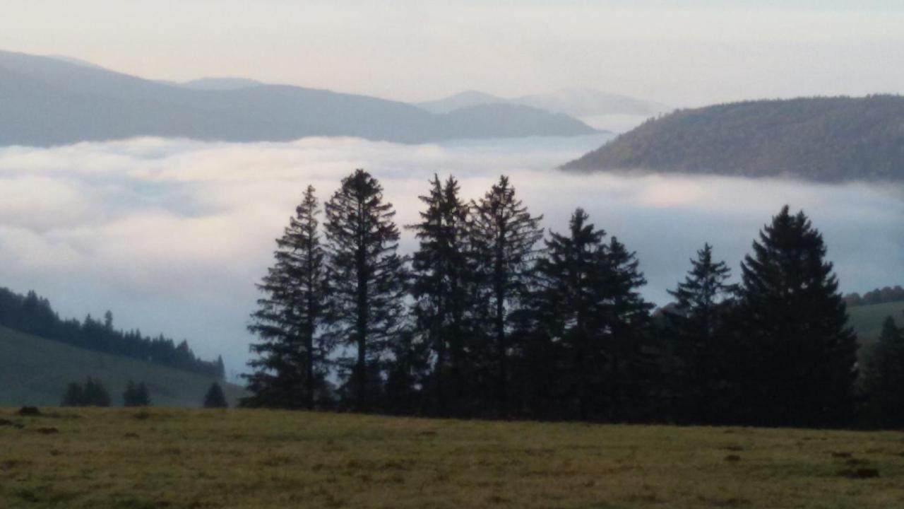 Schoene Aussicht Todtnau Exteriör bild