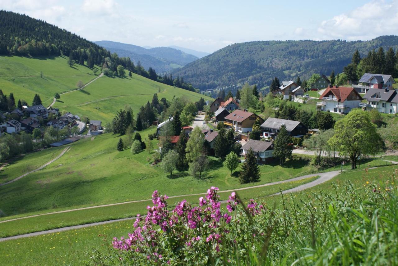 Schoene Aussicht Todtnau Exteriör bild