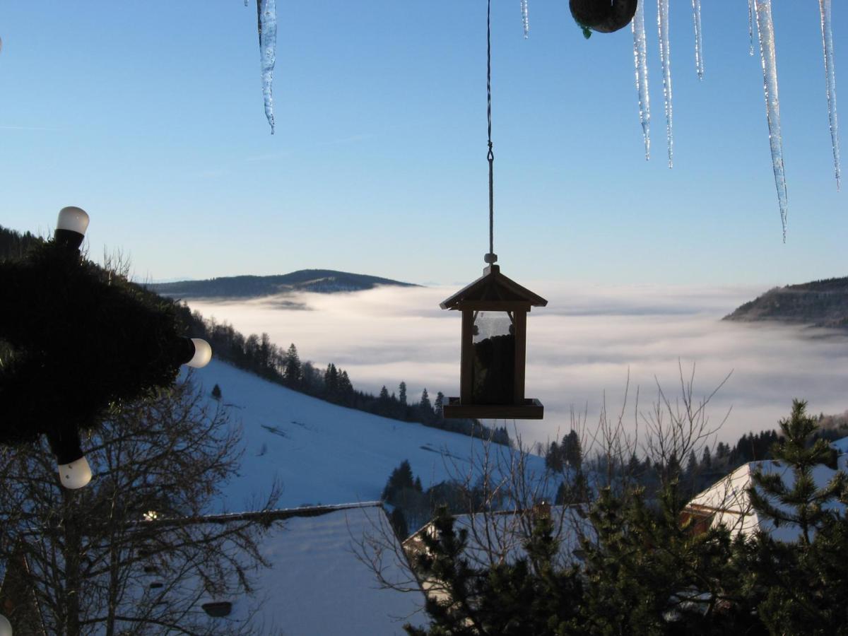 Schoene Aussicht Todtnau Exteriör bild