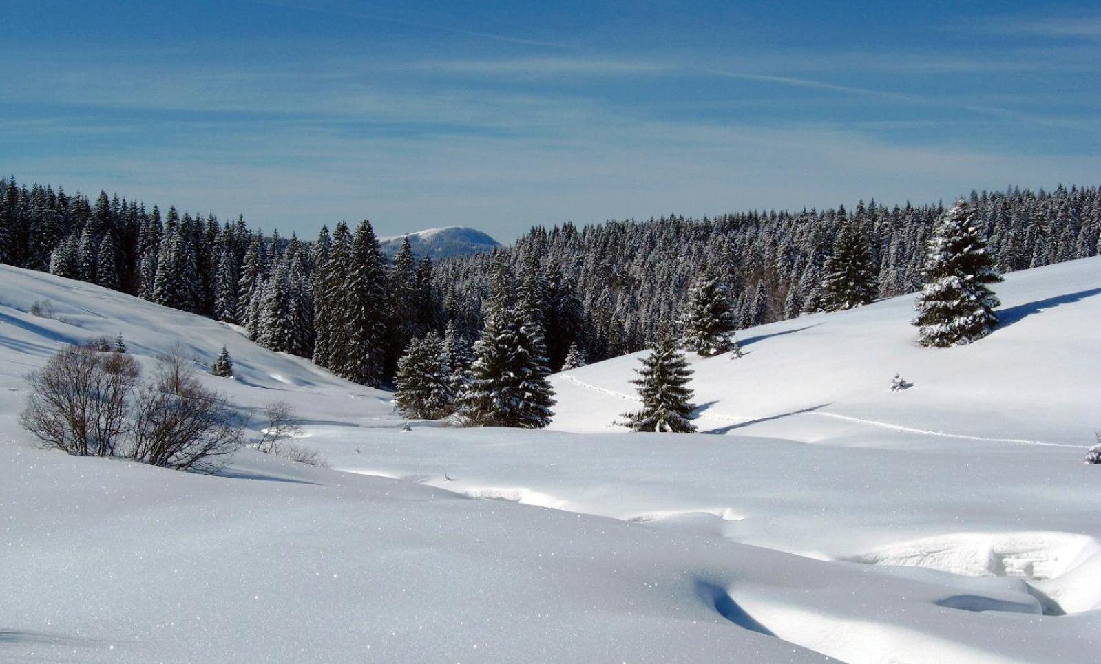 Schoene Aussicht Todtnau Exteriör bild