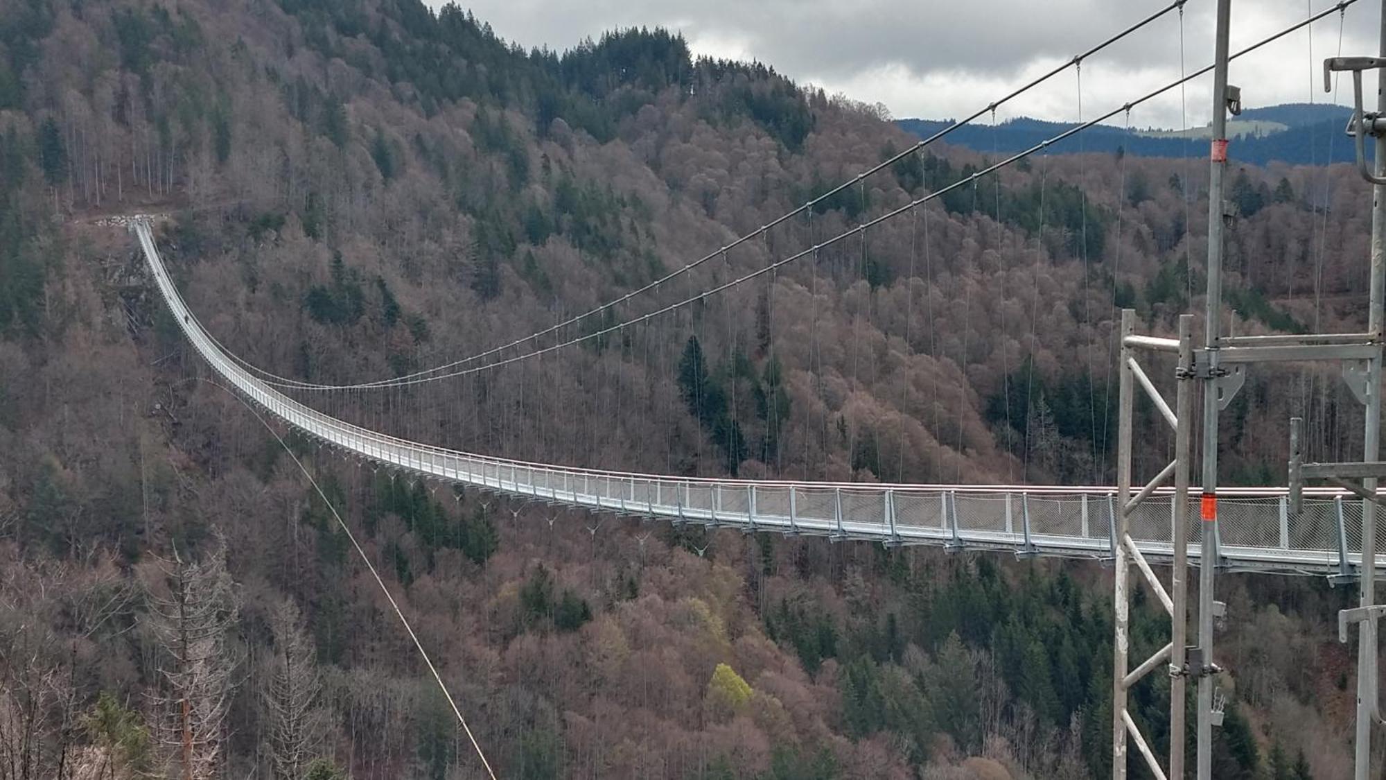 Schoene Aussicht Todtnau Exteriör bild