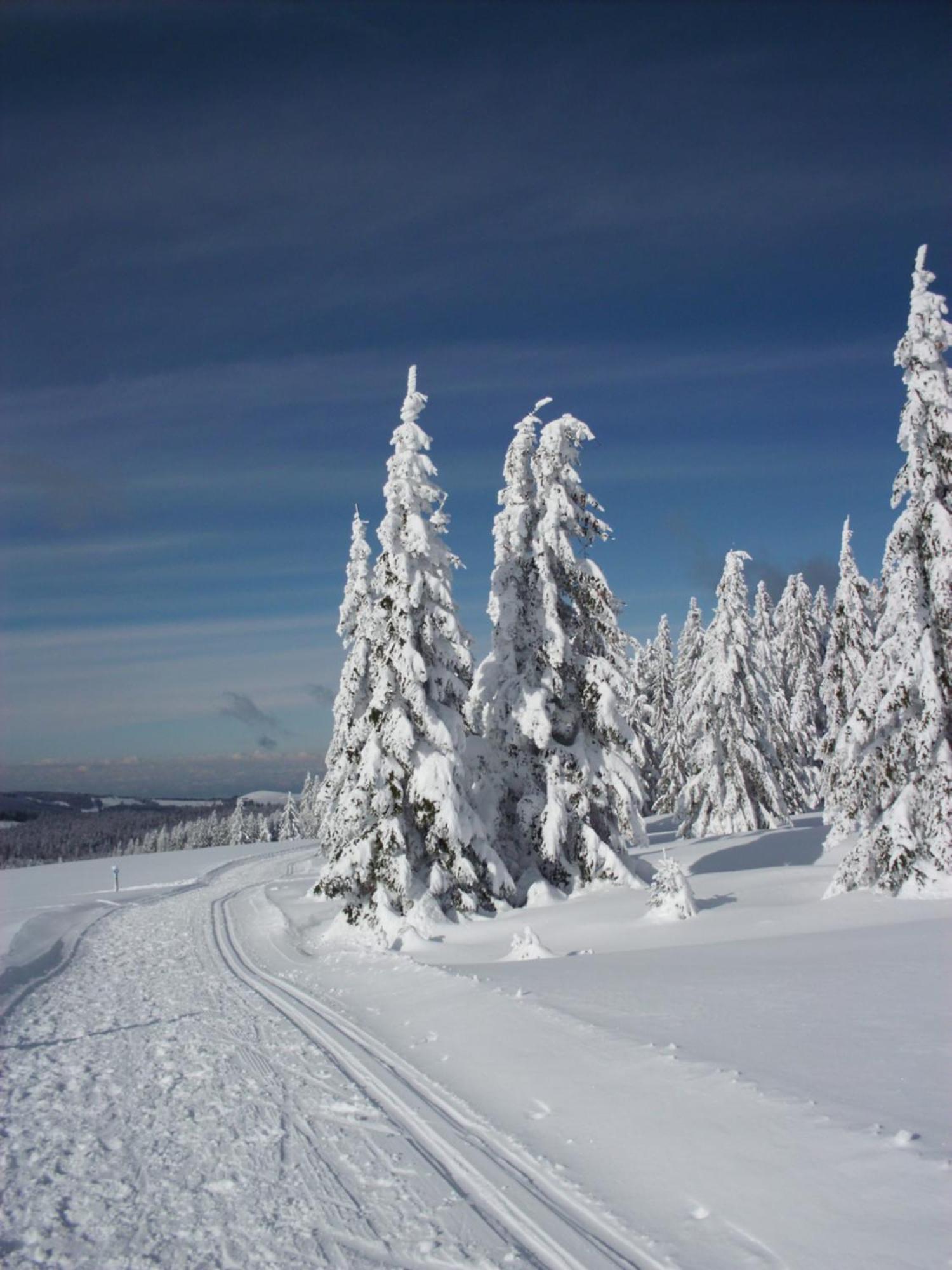 Schoene Aussicht Todtnau Exteriör bild