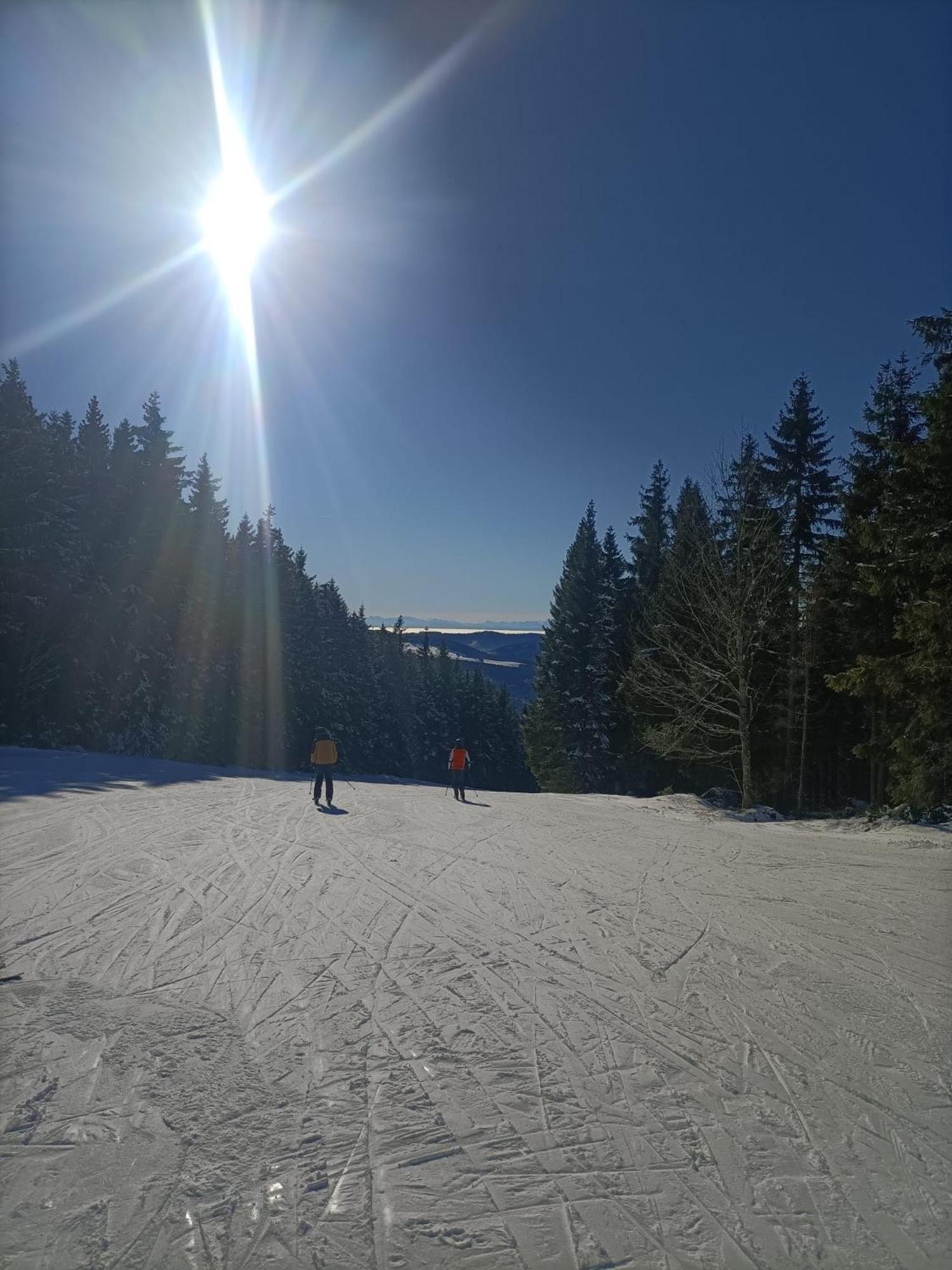 Schoene Aussicht Todtnau Exteriör bild
